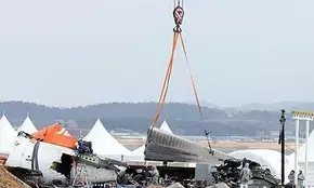 Jeju Aeroplane received bird activity warning one minute before black box stopped: Ministry