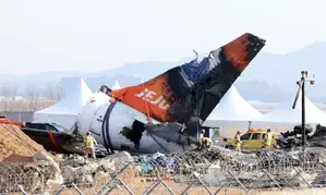 Jeju Air plane received bird activity warning one minute before black box stopped (Ld)