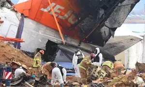 Jeju Air plane received bird activity warning 1 minute before black box stopped