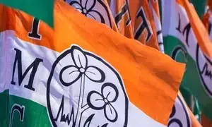 RG Kar protest impact: Trinamool to float its own-affiliated health professionals body