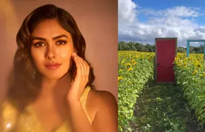 Mrunal Thakur reveals she is mentally here; Says Do Not Disturb