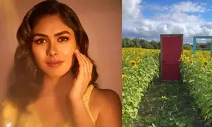 Mrunal Thakur reveals she is mentally here; Says Do Not Disturb