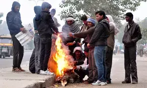Parts of Rajasthan experience intense cold, Fatehpur records 0.5 degrees
