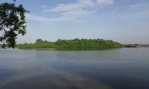 TN to use drone mapping to analyse, preserve ecologically-sensitive Ramsar sites