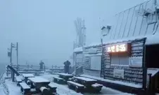 Heavy snow pounds South Korea, alert issued