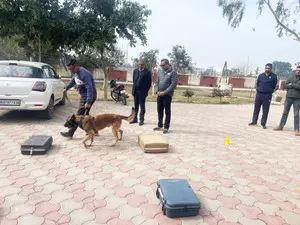 K9 helps sniff out narcotics in Haryana K9 helps sniff out narcotics in Haryana