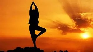 Rajasthan Minister urges public participation in Surya Namaskar event on Feb 3
