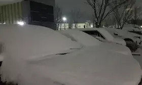 Heavy snow blankets South Korea on Lunar New Year holiday