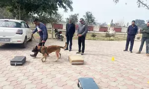 K9 helps sniff out narcotics in Haryana