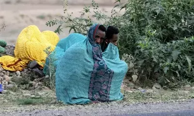 Experts meet in Kenya to promote peace in Horn of Africa