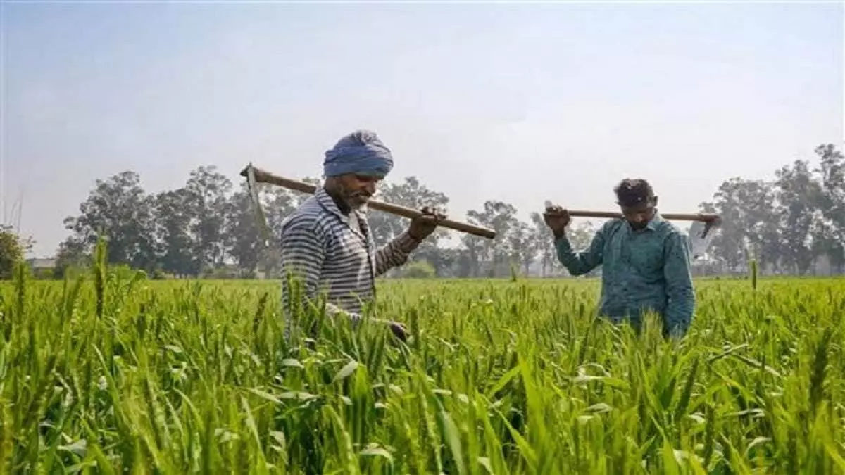 Bihar State Crop Assistance Scheme: A Lifeline for Farmers Amid Natural Disasters Bihar State Crop Assistance Scheme: A Lifeline for Farmers Amid Natural Disasters