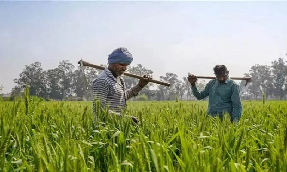 Bihar State Crop Assistance Scheme: A Lifeline for Farmers Amid Natural Disasters