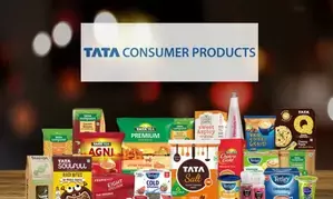 Tata Consumer Q3 profit falls 5 pc to Rs 299.75 crore, revenue rises 16.8 pc