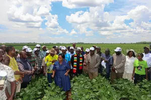 Zimbabwes economic outlook positive in 2025, says World Bank