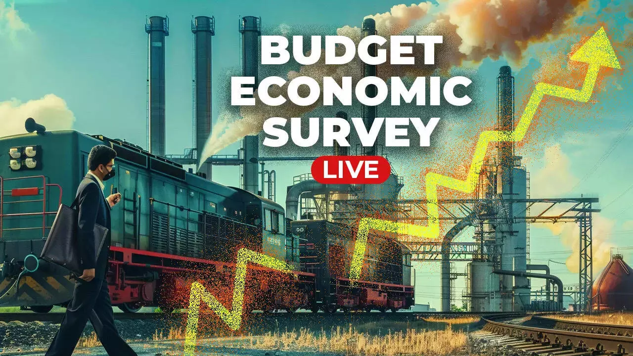 Economic Survey 2024-25 Highlights Urgent Need for Skill Development Amid Growing Salary Gaps Economic Survey 2024-25 Highlights Urgent Need for Skill Development Amid Growing Salary Gaps