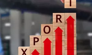 Forward-looking strategic trade roadmap to create more vibrant export sector: Eco Survey