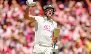 BBL: Hobart Hurricanes sign Beau Webster on three-year deal