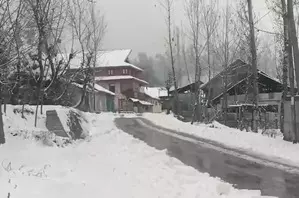 Higher reaches of J&K receive fresh snowfall Higher reaches of J&K receive fresh snowfall