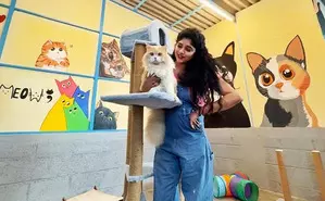 Actress Samyuktha Honrad launches adoption centre for cats Actress Samyuktha Honrad launches adoption centre for cats