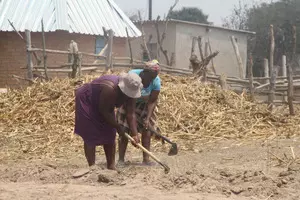 World Bank warns Zimbabwe on climate-induced economic losses