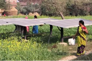 Union Budget has rightly focused on green economy progression: Environmentalists