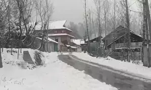Higher reaches of J&K receive fresh snowfall