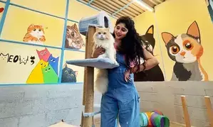 Actress Samyuktha Honrad launches adoption centre for cats