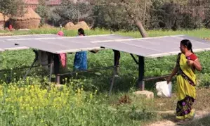 Union Budget has rightly focused on green economy progression: Environmentalists