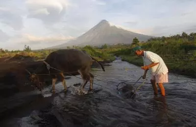 Philippines declares food security emergency to tame soaring rice prices