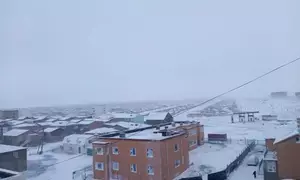 Snow covers nearly 80 per cent of Mongolias territory