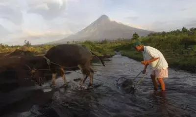 Philippines declares food security emergency to tame soaring rice prices