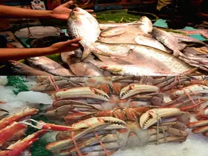 India doubles seafood exports in 10 years to Rs 60,524cr; eyes Rs 1.56 lakh cr target by 2030
