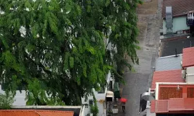 Singapore to spend 110 million USD on drainage upgrading amid flood concerns