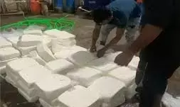 Gujarat: Food safety raid uncovers 1,500 kg of adulterated paneer in Ahmedabad