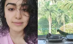 Adah Sharma shares a unique glimpse of parrot-squirrel bond with SRKs iconic dialogue