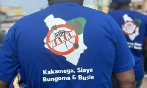 African officials pledge continuity of malaria financing amid donor uncertainties