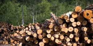 Myanmar seizes over 88 tons of illegal timbers, 200,000 stimulant tablets Myanmar seizes over 88 tons of illegal timbers, 200,000 stimulant tablets