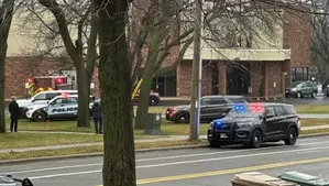 Study links assault weapons to higher death toll in US mass shootings