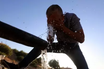 January 2025 the warmest on record: Copernicus