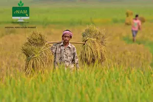 Centre lists 10 more agricultural goods for e-NAM trade to help farmers get higher prices