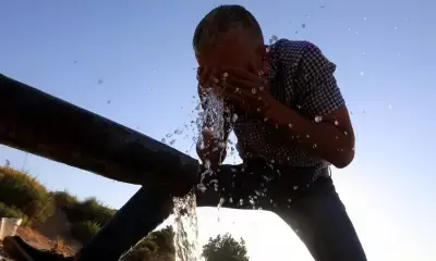 January 2025 the warmest on record: Copernicus