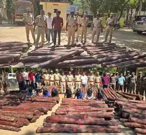 Conservation of red sanders is of paramount importance: Pawan Kalyan