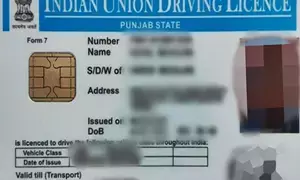 Re-start issuance of driving licences in Punjab, pleads National Road Safety Council member