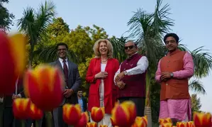 Delhi L-G inaugurates NDMC Tulip Festival-2025
