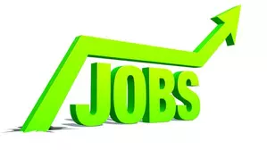 Hiring in India grows 9 pc in last 3 months, green jobs surge: Report Hiring in India grows 9 pc in last 3 months, green jobs surge: Report