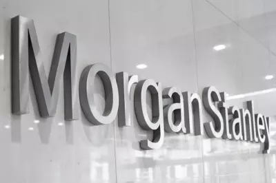 India’s domestic policy can handle adverse impact of US tariff hike: Morgan Stanley India’s domestic policy can handle adverse impact of US tariff hike: Morgan Stanley