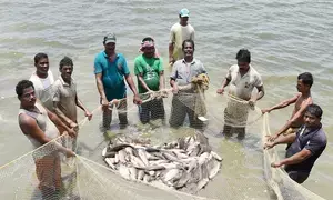 Centre steps up grassroot drive to boost fisheries sector