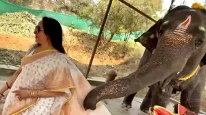 Hema Malini enjoys an adorable encounter with a baby elephant Hema Malini enjoys an adorable encounter with a baby elephant
