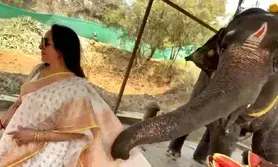 Hema Malini enjoys an adorable encounter with a baby elephant