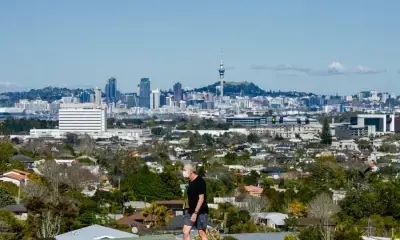 New Zealand net migration falls in 2024